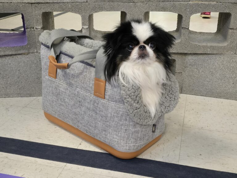 LeftPine x P.L.A.Y. Deluxe Dog Carrier review